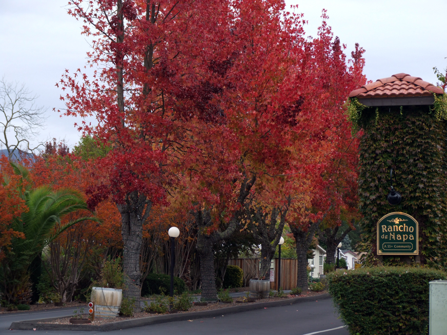 Yountville